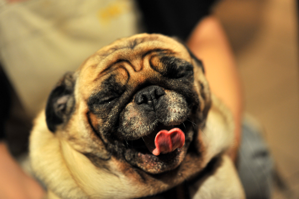 1121 a5 9 DSC_7300.jpg